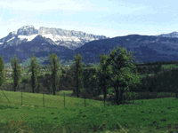 Hills on Train Ride